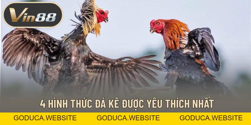 Đá Gà – Những Trận Đá Kê Đỉnh Cao Đẳng Cấp Đứng Đầu Đá Gà – Những Trận Đá Kê Đỉnh Cao Đẳng Cấp Đứng Đầu
