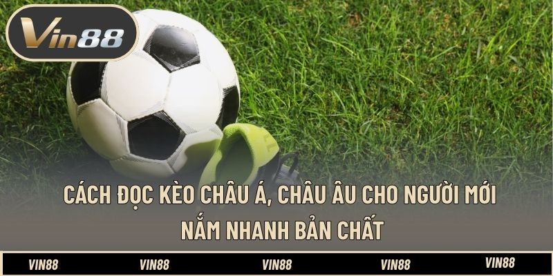 Cách Đọc Kèo Châu Á, Châu Âu Cho Người Mới - Nền Tảng Quan Trọng