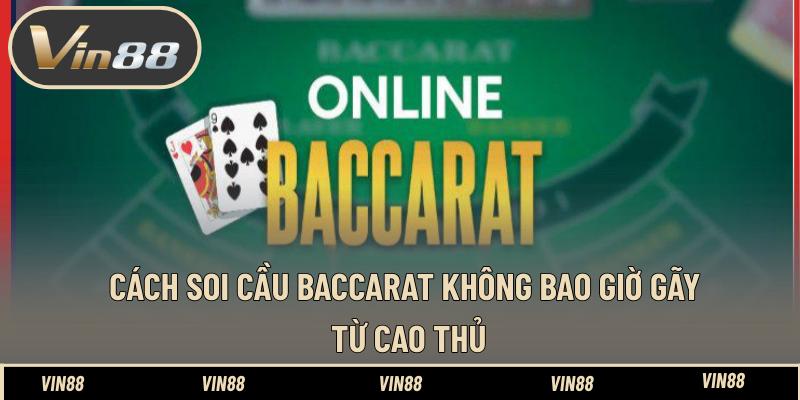 Xem Ngày Gà Đá - Cách Chọn Ngày Hợp Theo Màu Mạng Gà
