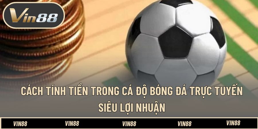 Chăm Gà Đá Trước Thi - Cách Chuẩn Bị Thể Trạng Tốt