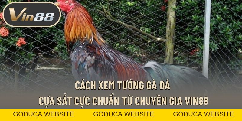 Cách Chọn Hũ Dễ Nổ - Tiêu Chí Nhận Biết Hũ Tiềm Năng
