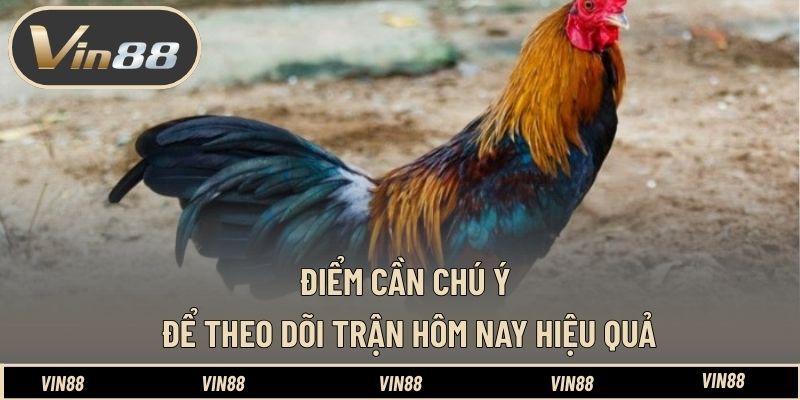 Lịch Thi Đấu Gà Tre Philippines Hôm Nay - Nắm Bắt Diễn Biến Lịch Thi Đấu Gà Tre Philippines Hôm Nay - Nắm Bắt Diễn Biến