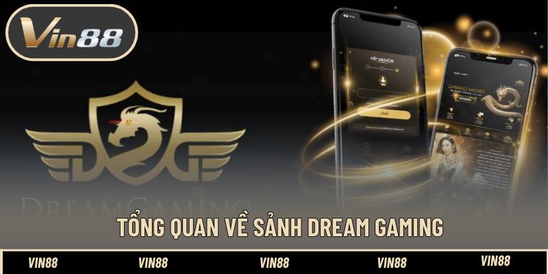 Phân Biệt Các Sảnh Bài Evolution Và DG Có Gì Thú Vị Phân Biệt Các Sảnh Bài Evolution Và DG Có Gì Thú Vị