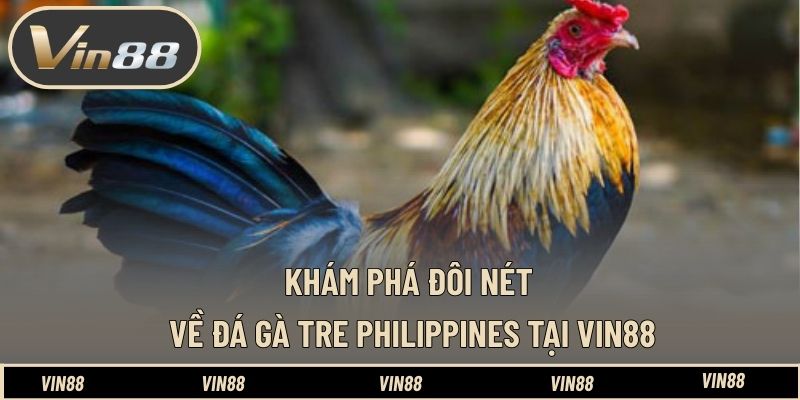 Lịch Thi Đấu Gà Tre Philippines Hôm Nay - Nắm Bắt Diễn Biến Lịch Thi Đấu Gà Tre Philippines Hôm Nay - Nắm Bắt Diễn Biến