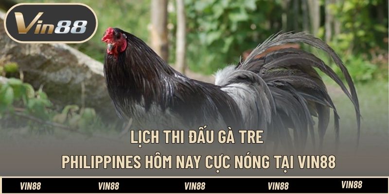 Mẹo Bắn Cá Đạn Nhỏ - Cách Chọn Góc Bắn Dễ Trúng Hơn