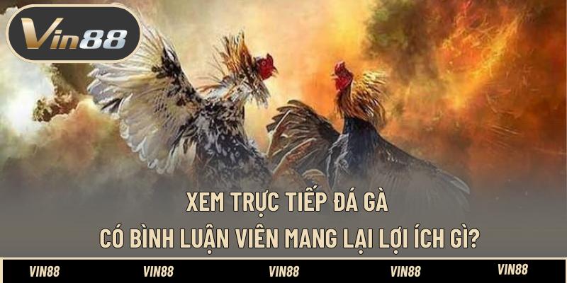 Xem Trực Tiếp Đá Gà Thomo Bình Luận Viên Tiếng Việt Hay Xem Trực Tiếp Đá Gà Thomo Bình Luận Viên Tiếng Việt Hay