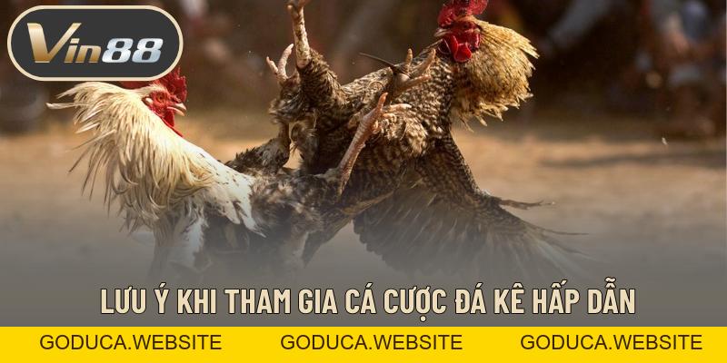 Đá Gà – Những Trận Đá Kê Đỉnh Cao Đẳng Cấp Đứng Đầu Đá Gà – Những Trận Đá Kê Đỉnh Cao Đẳng Cấp Đứng Đầu