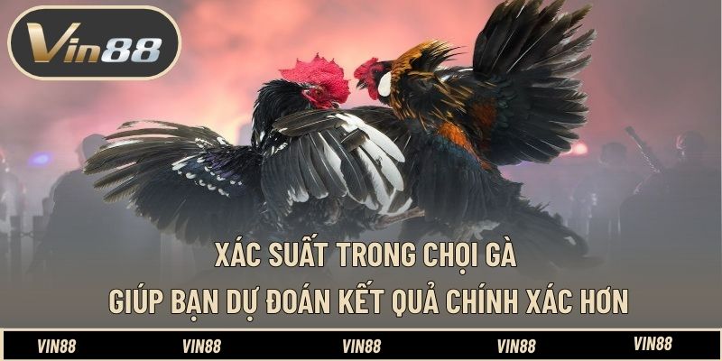 Mẹo Đặt Cược Gà Meron Hay Wala Dễ Ăn - Góc Nhìn Phân Tích Mẹo Đặt Cược Gà Meron Hay Wala Dễ Ăn - Góc Nhìn Phân Tích