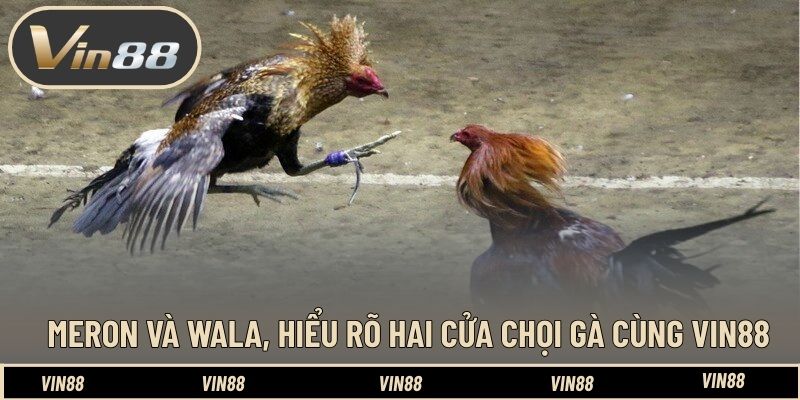 Mẹo Đặt Cược Gà Meron Hay Wala Dễ Ăn - Góc Nhìn Phân Tích Mẹo Đặt Cược Gà Meron Hay Wala Dễ Ăn - Góc Nhìn Phân Tích