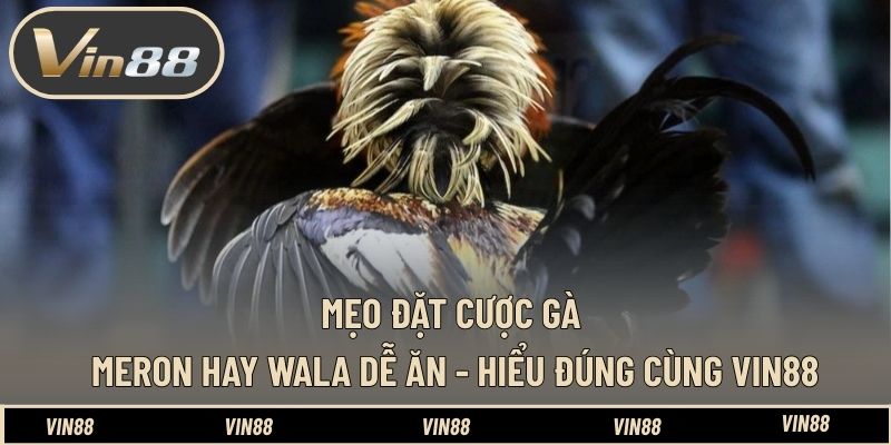 Sảnh Thể Thao CMD368 - Tổng Quan Kèo Cược Thể Thao