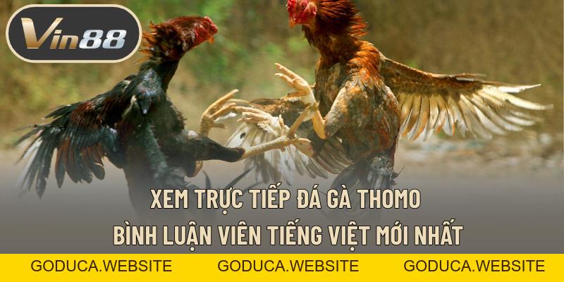 Kinh Nghiệm Cá Độ Esport - Cách Đọc Kèo Và Chọn Trận