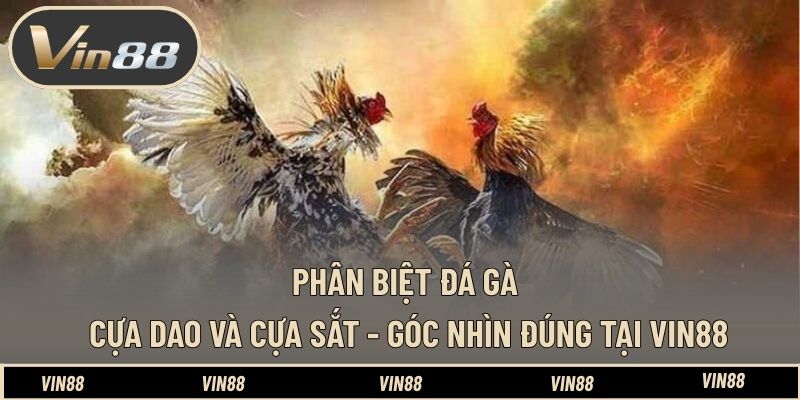 Baccarat Gấp Thép - Luật Chơi Và Cách Đọc Cầu Chuẩn