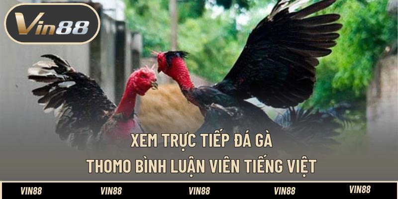 Xem Trực Tiếp Đá Gà Thomo Bình Luận Viên Tiếng Việt Hay Xem Trực Tiếp Đá Gà Thomo Bình Luận Viên Tiếng Việt Hay