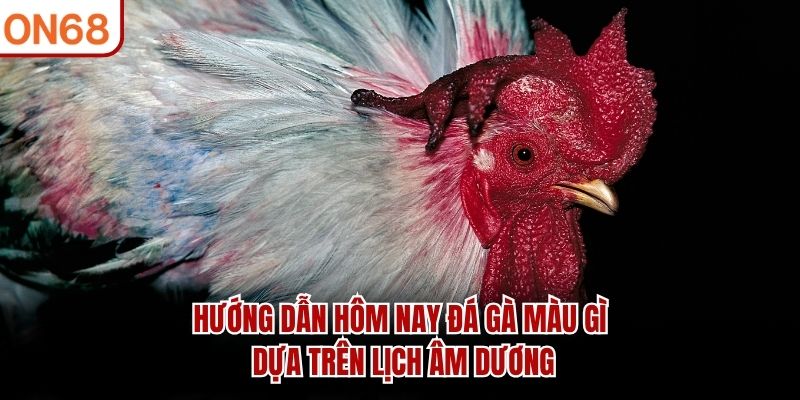 Hôm Nay Đá Gà Màu Gì? Gợi Ý Chọn Màu Gà Tại ON68