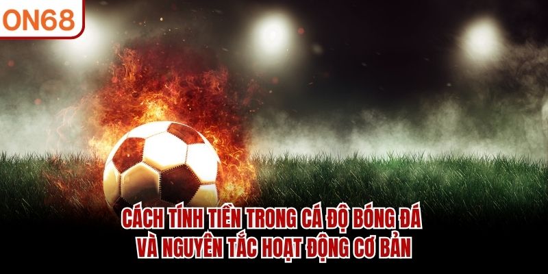Cách Tính Tiền Trong Cá Độ Bóng Đá Dễ Hiểu Cho Người Mới 2026