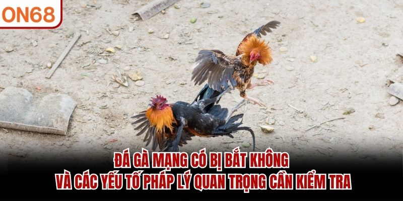 Đá Gà Mạng Có Bị Bắt Không? Giải Đáp Chi Tiết Tại ON68