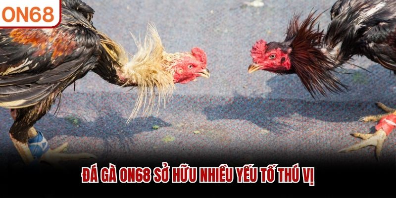 Đá Gà ON68 - Cập Nhật Nhanh Chóng Trận Đấu Mới Nhất 2026 Đá Gà ON68 - Cập Nhật Nhanh Chóng Trận Đấu Mới Nhất 2026