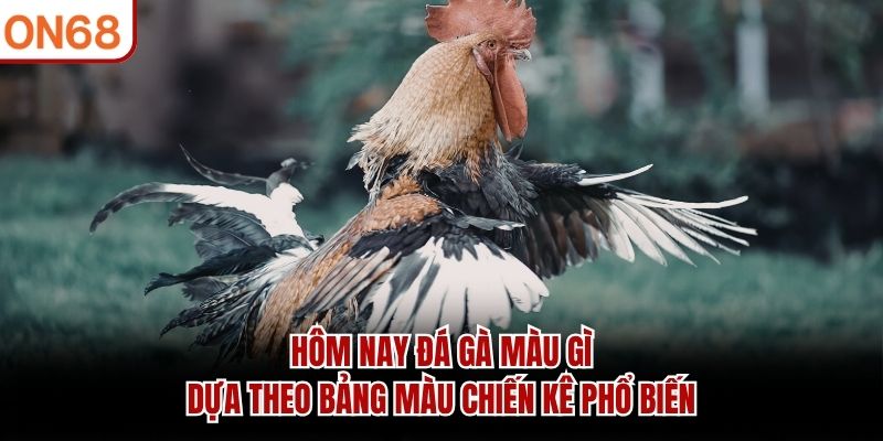 Hôm Nay Đá Gà Màu Gì? Gợi Ý Chọn Màu Gà Tại ON68