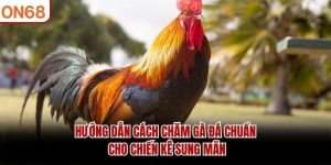 Tin Tức ON68 Mới Nhất – Cập Nhật Liên Tục 24/7 - on68net.com