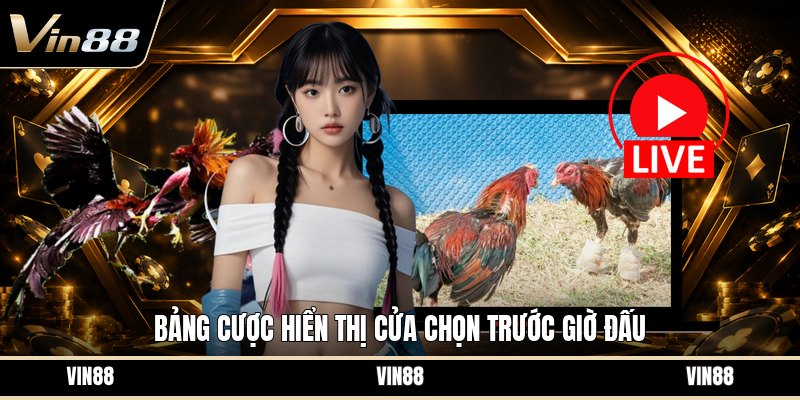 Sảnh Đá Gà WS168 - Tổng Quan Cách Chơi Và Luật Cược