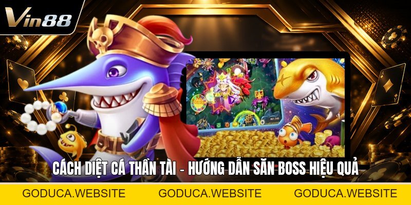 Chăm Gà Đá Trước Thi - Cách Chuẩn Bị Thể Trạng Tốt