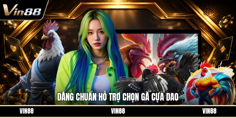 Chọn Gà Cựa Dao - Cách Nhìn Gà Chính Xác Trước Trận