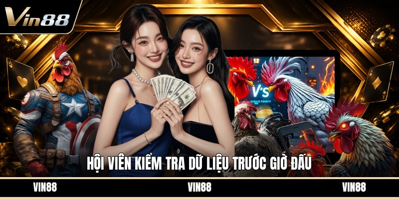 Xem Ngày Gà Đá - Cách Chọn Ngày Hợp Theo Màu Mạng Gà