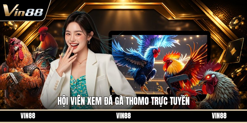 Xem Đá Gà Thomo - Cách Theo Dõi Trận Đấu Trực Tuyến