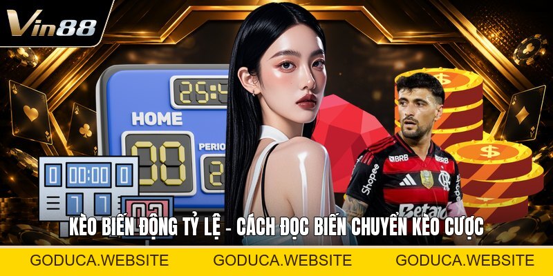 Chăm Gà Đá Trước Thi - Cách Chuẩn Bị Thể Trạng Tốt