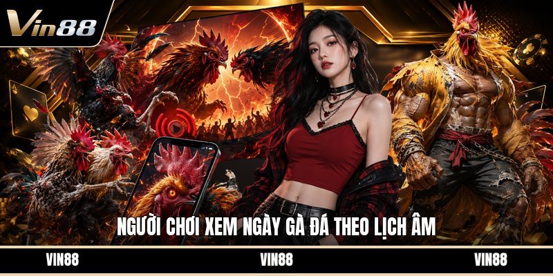 Xem Ngày Gà Đá - Cách Chọn Ngày Hợp Theo Màu Mạng Gà