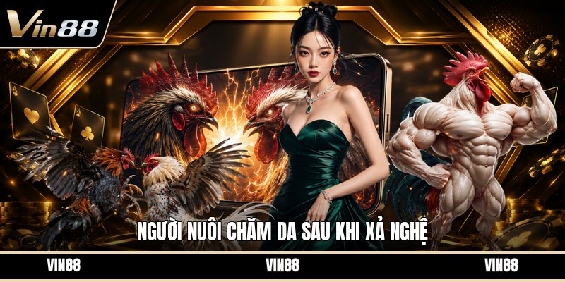 Kỹ Thuật Vô Nghệ Gà Đá - Cách Làm Đúng Cho Gà Khỏe