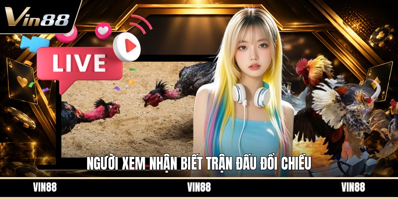 Xem Đá Gà Thomo - Cách Theo Dõi Trận Đấu Trực Tuyến
