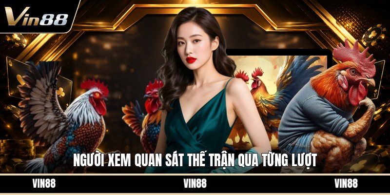 Xem Đá Gà Thomo - Cách Theo Dõi Trận Đấu Trực Tuyến