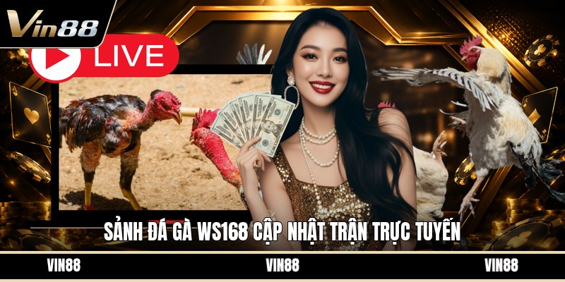 Sảnh Đá Gà WS168 - Tổng Quan Cách Chơi Và Luật Cược