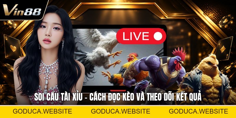 Cách Đổi Ip Nhà Cái - Hướng Dẫn Kết Nối Mạng Ổn Định