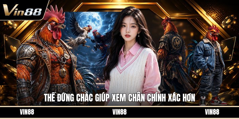 Chọn Gà Cựa Dao - Cách Nhìn Gà Chính Xác Trước Trận