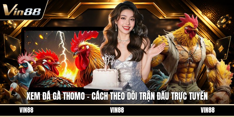 Xem Đá Gà Thomo - Cách Theo Dõi Trận Đấu Trực Tuyến