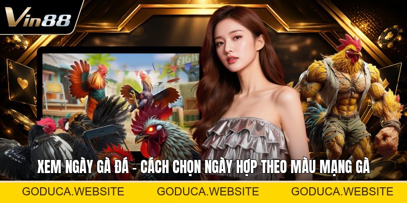 Sảnh Thể Thao CMD368 - Tổng Quan Kèo Cược Thể Thao